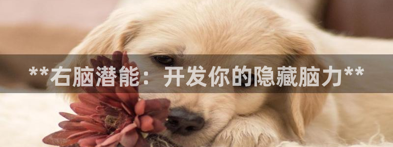 沐鸣娱乐2黑客户吗