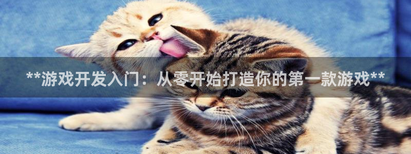 沐鸣2平台负责人