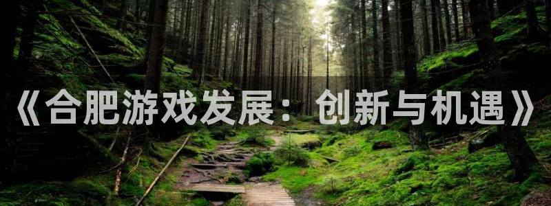 沐鸣娱乐2登录：《合肥游戏发展：创新与机遇》
