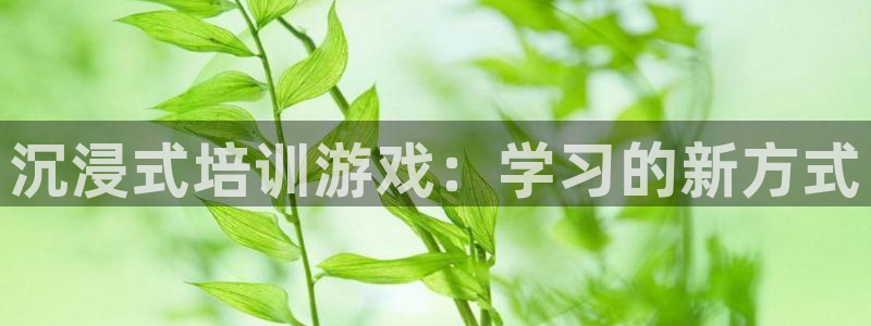 沐鸣平台由44262：沉浸式培训游戏：学习的新方式
