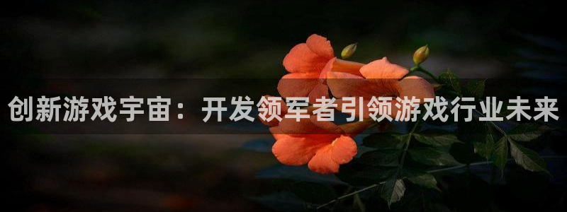 沐鸣2客户端 登录：创新游戏宇宙：开发领军者引领游戏行业未来