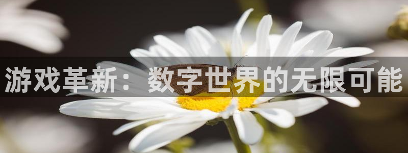 沐鸣2娱乐登录测速：游戏革新：数字世界的无限可能