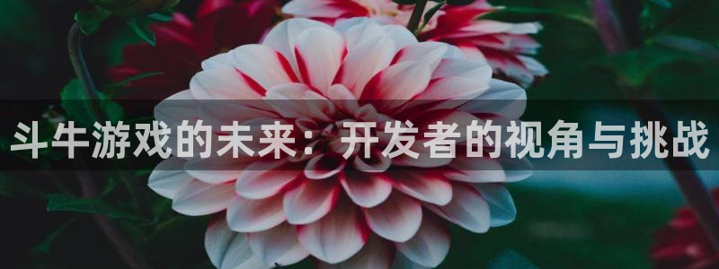 沐鸣平台由44262：斗牛游戏的未来：开发者的视角与挑战