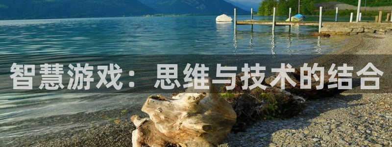 沐鸣2平台代理：智慧游戏：思维与技术的结合