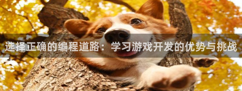 沐鸣2注册登录下载：选择正确的编程道路：学习游戏开发的优势与挑战