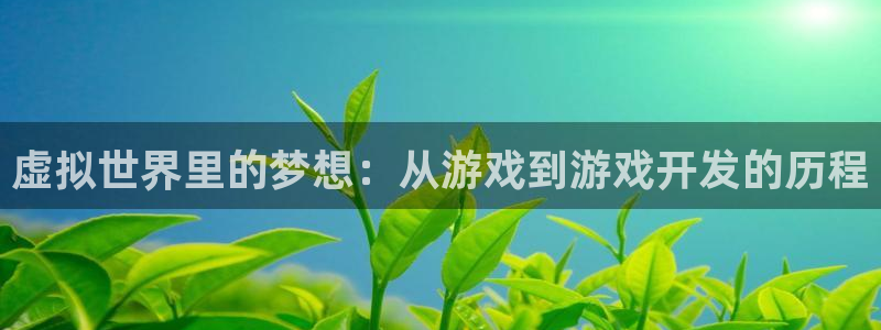 沐鸣娱乐2官方平台是什么：虚拟世界里的梦想：从游戏到游戏开发的历程