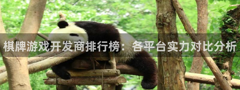 沐鸣2官网 5O6917：棋牌游戏开发商排行榜：各平台实力对比分析