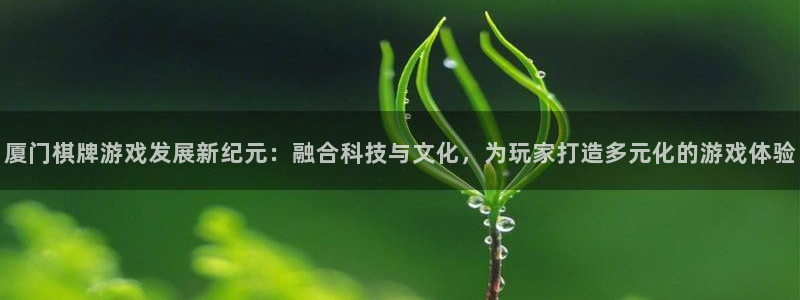 沐鸣2娱乐登录测速：厦门棋牌游戏发展新纪元：融合科技与文化，为玩家打造多元化的游戏体验