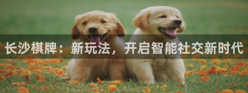 沐鸣娱乐2多彩平台