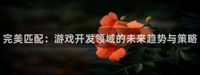 沐鸣娱乐2下载：完美匹配：游戏开发领域的未来趋势与策略