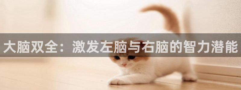 沐鸣2代理求27337：大脑双全：激发左脑与右脑的智力潜能