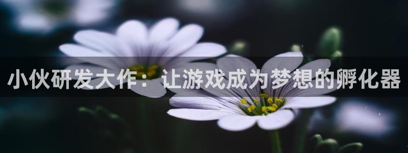 沐鸣2官网注册地址：小伙研发大作：让游戏成为梦想的孵化器