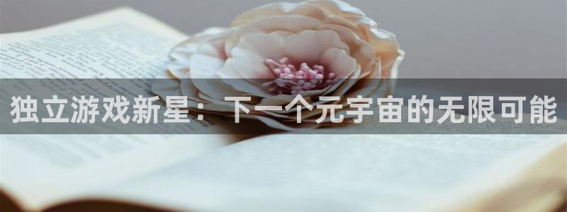 沐鸣娱乐臼44262：独立游戏新星：下一个元宇宙的无限可能