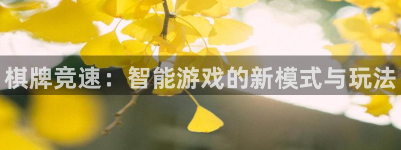 沐鸣娱乐2可靠吗：棋牌竞速：智能游戏的新模式与玩法