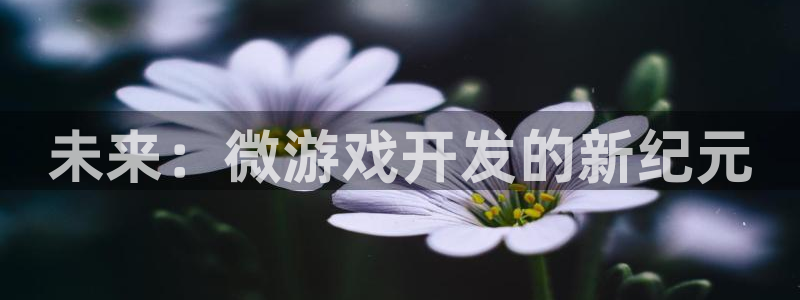 沐鸣2娱乐平台注册：未来：微游戏开发的新纪元