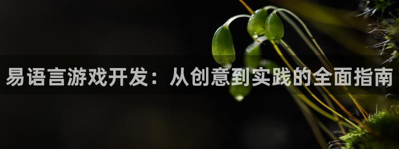 沐鸣2主管：易语言游戏开发：从创意到实践的全面指南