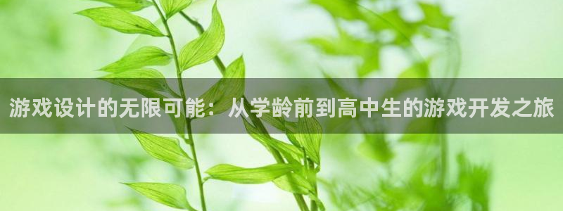 沐鸣娱乐2上来77542：游戏设计的无限可能：从学龄前到高中生的游戏开发之旅