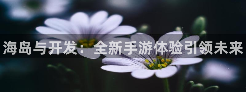 沐鸣2选 37OO735：海岛与开发：全新手游体验引领未来