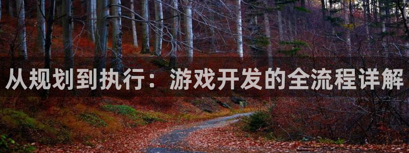 沐鸣娱乐2手机下载官网：从规划到执行：游戏开发的全流程详解